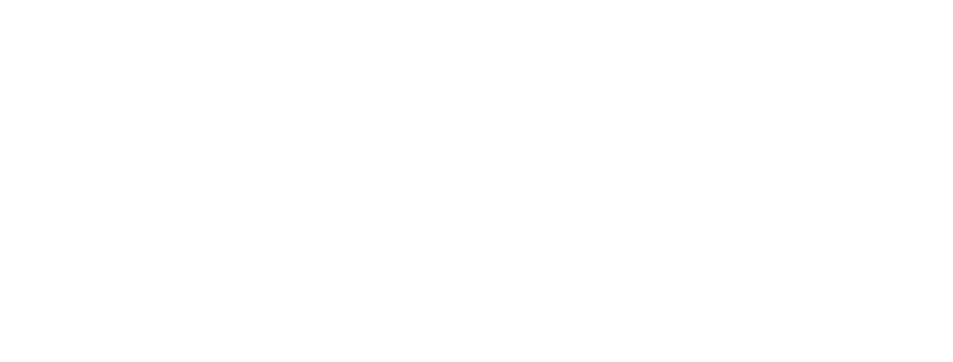 Lingopal logo